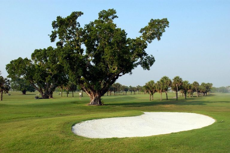 Palmetto Golf Course Miami